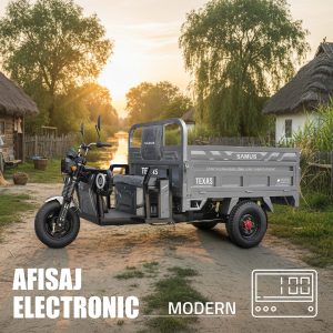 Triciclu cargo electric TEXAS 170/130-12T1500 60V58Ah pentru transport marfă